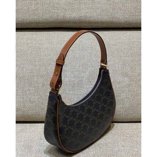 Celine TRIOMPHE CANVAS AVA 193952BZJ.04LU