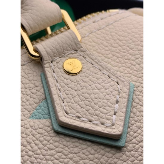 Louis Vuitton Speedy Bandoulière 20 M46883