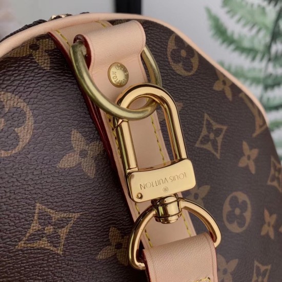 Louis Vuitton Bandoulière 45 M41418