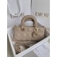 Dior Lady D-Joy Bag M0613ONGE_M51U