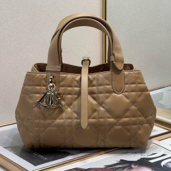 Dior Toujours Bag M2822OSHJ_M53U