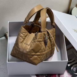 Dior Toujours Bag M2822OSHJ_M53U