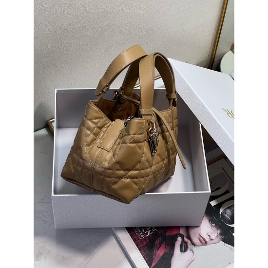 Dior Toujours Bag M2822OSHJ_M53U