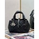 Dior Toujours Bag M2822OSHJ_M900