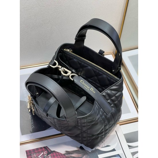 Dior Toujours Bag M2822OSHJ_M900