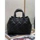 Dior Toujours Bag M2821OSHJ_M900