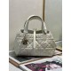 Dior Toujours Bag M2822OSHJ_M030