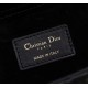 Dior Lady D-Joy Bag M0540ONHZ_M900