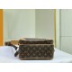   LOUIS VUITTON Classics Camera Bag M44937